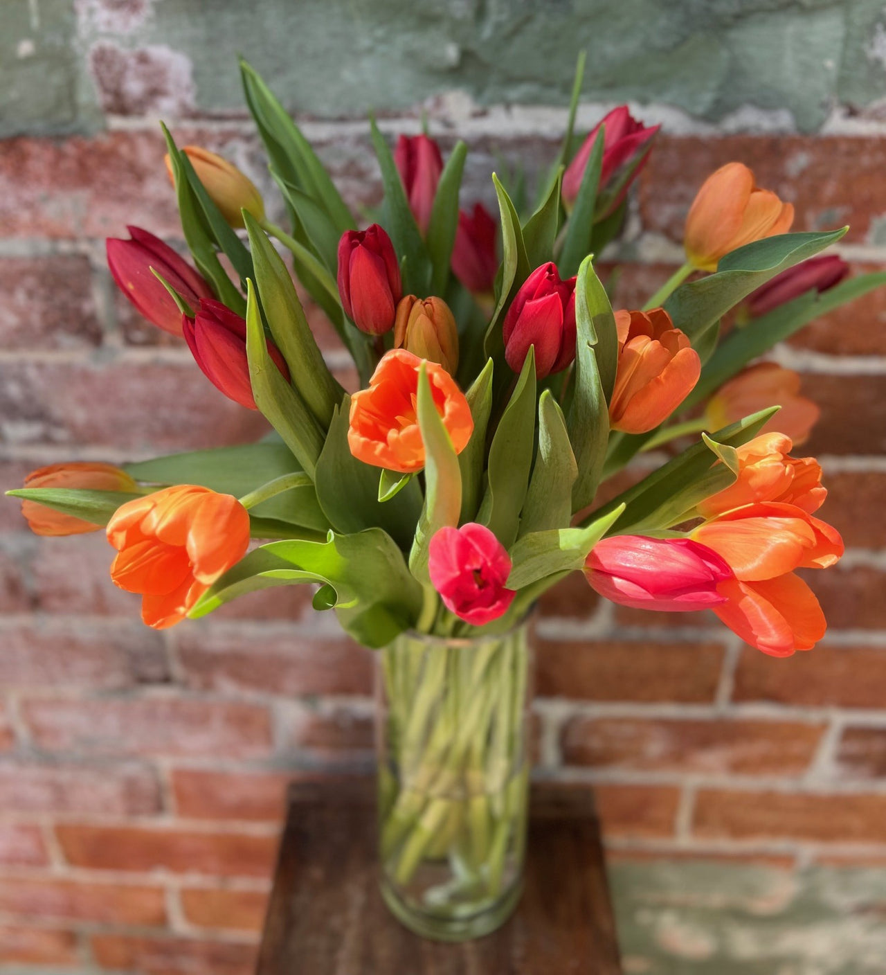 Tulip Bouquet - Haven Botanical