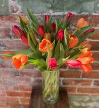 Thumbnail for Tulip Bouquet - Haven Botanical