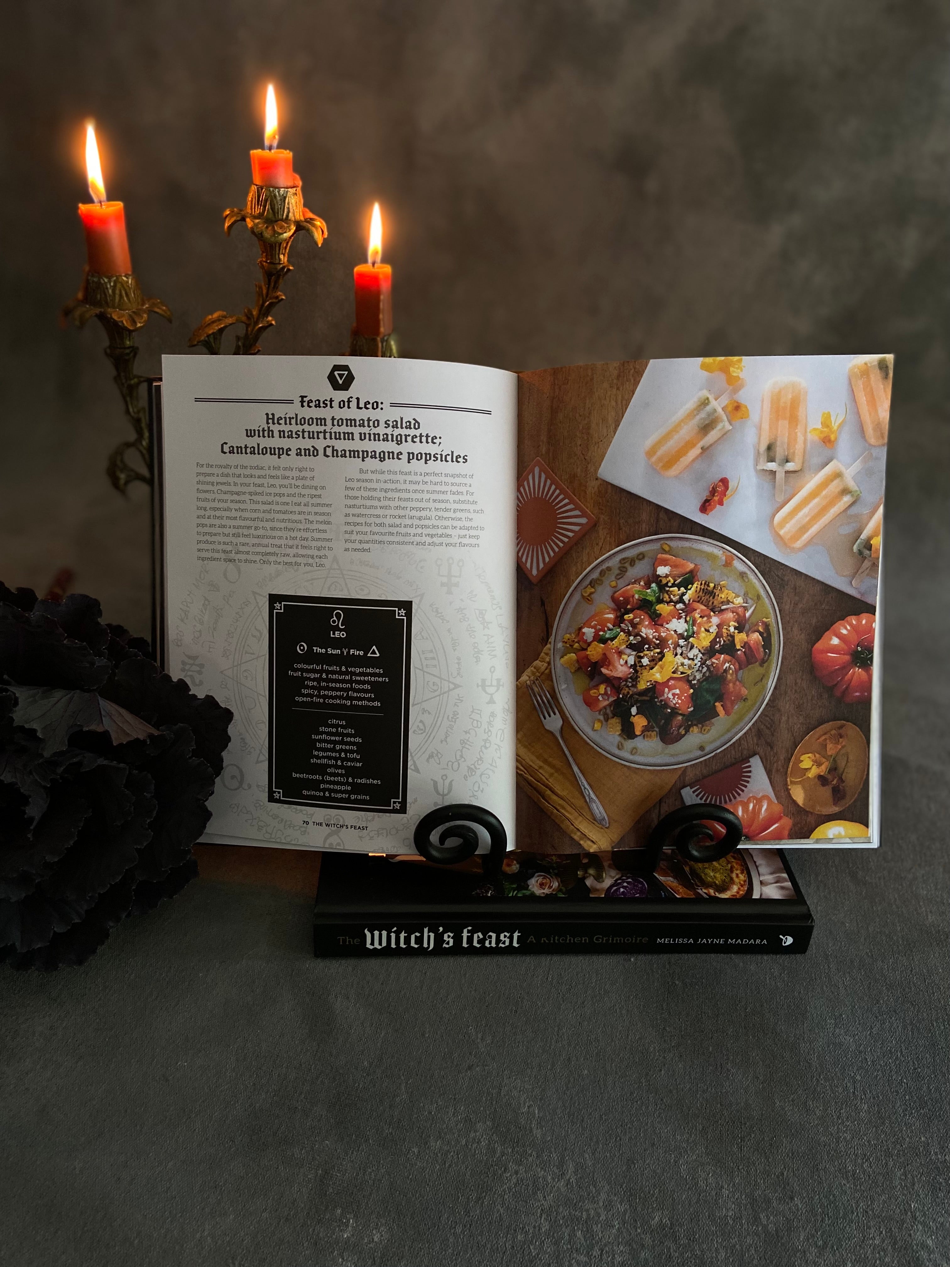 The Witch's Feast - A Kitchen Grimoire - Haven Botanical - Mullumbimby Florist