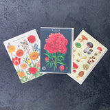 Floral Card - Haven Botanical