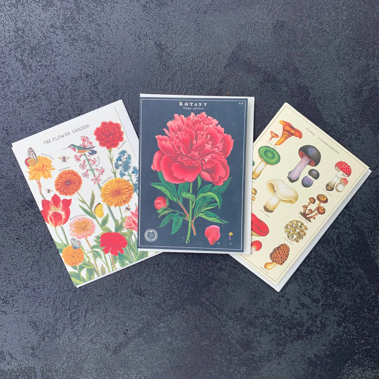 Floral Card - Haven Botanical