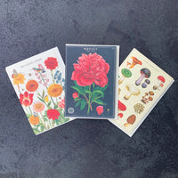 Thumbnail for Floral Card - Haven Botanical