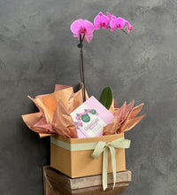 Thumbnail for Orchid Lover Gift Box - Haven Botanical