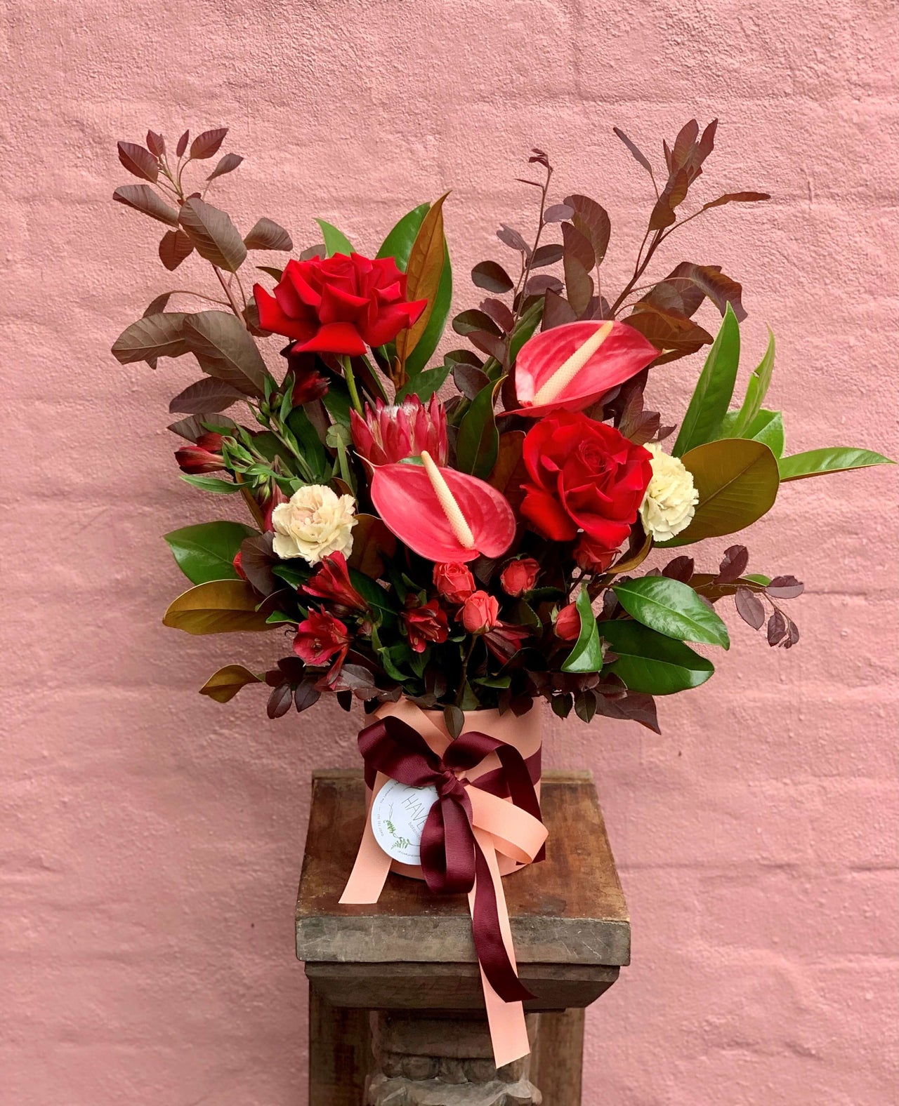 Valentine's Day Potted Bouquet - Haven Botanical